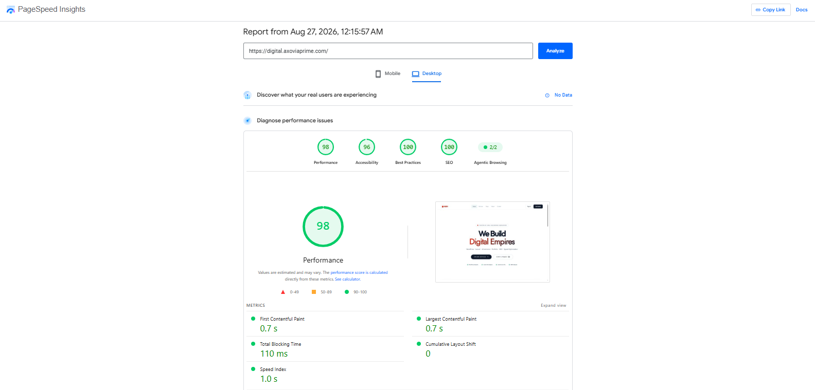 WordPress Speed Optimization screenshot